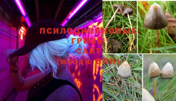 apvp Нея