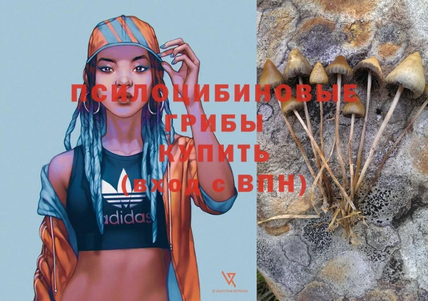 apvp Нея