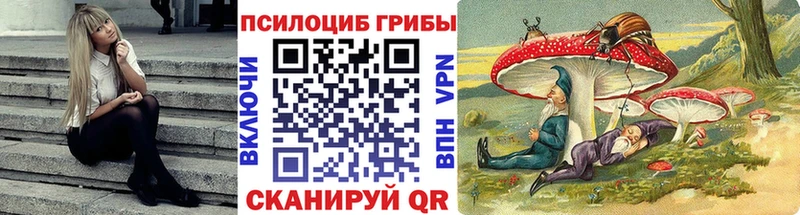 Псилоцибиновые грибы мухоморы  Купить  Камень-на-Оби 